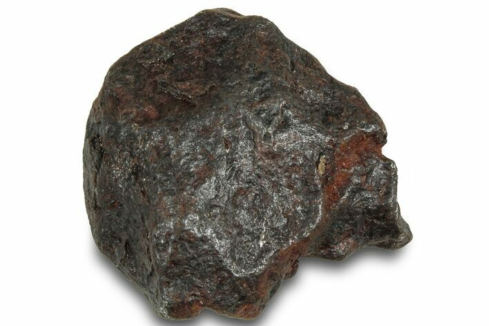 Canyon Diablo Iron Meteorite ( g) - Arizona #319649